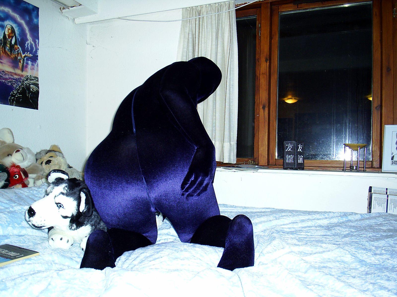 first_zentai-from_the_back-3.jpg.jpg
