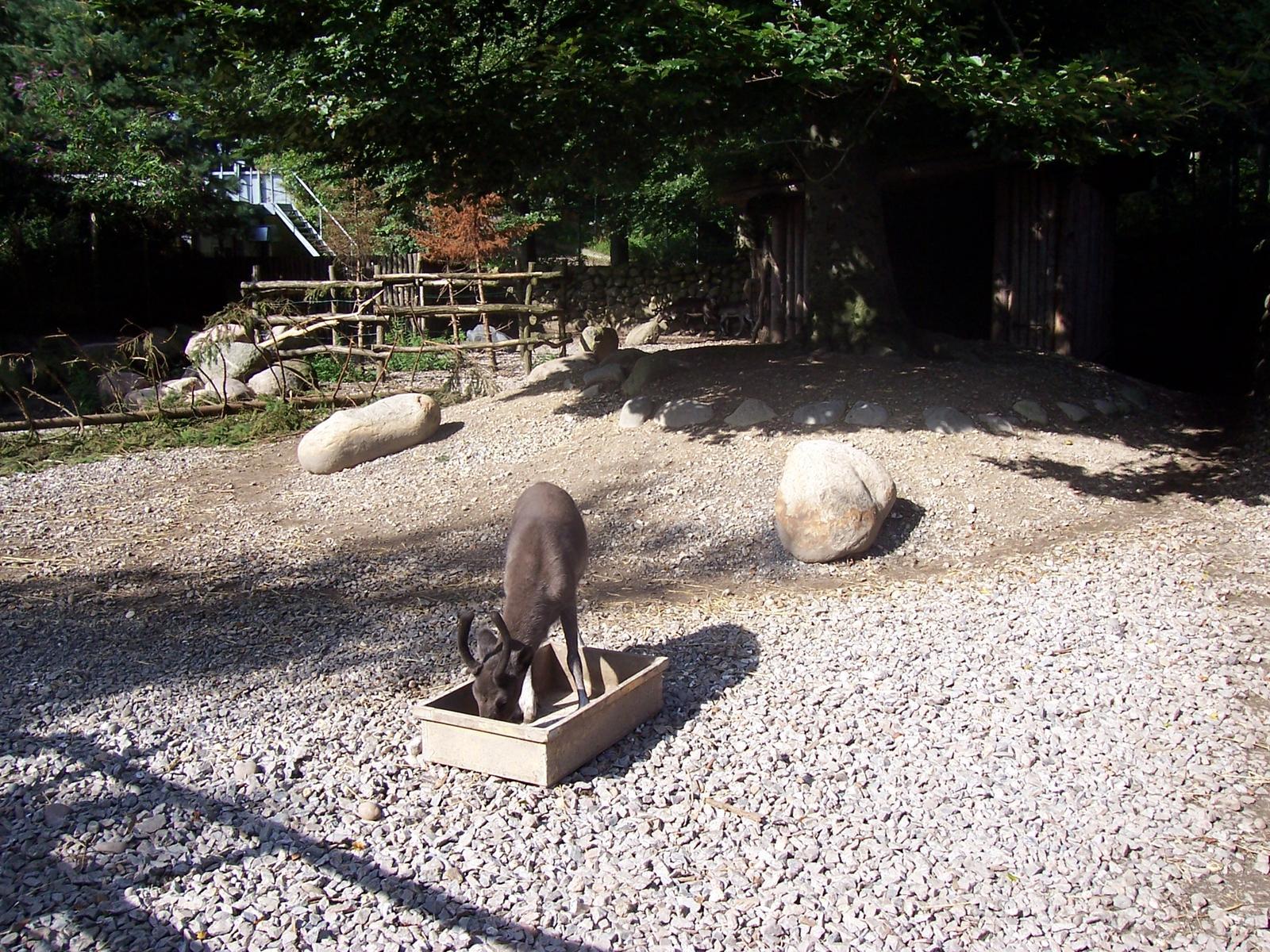 visit-to-aalborg-zoo-0014.jpg.jpg
