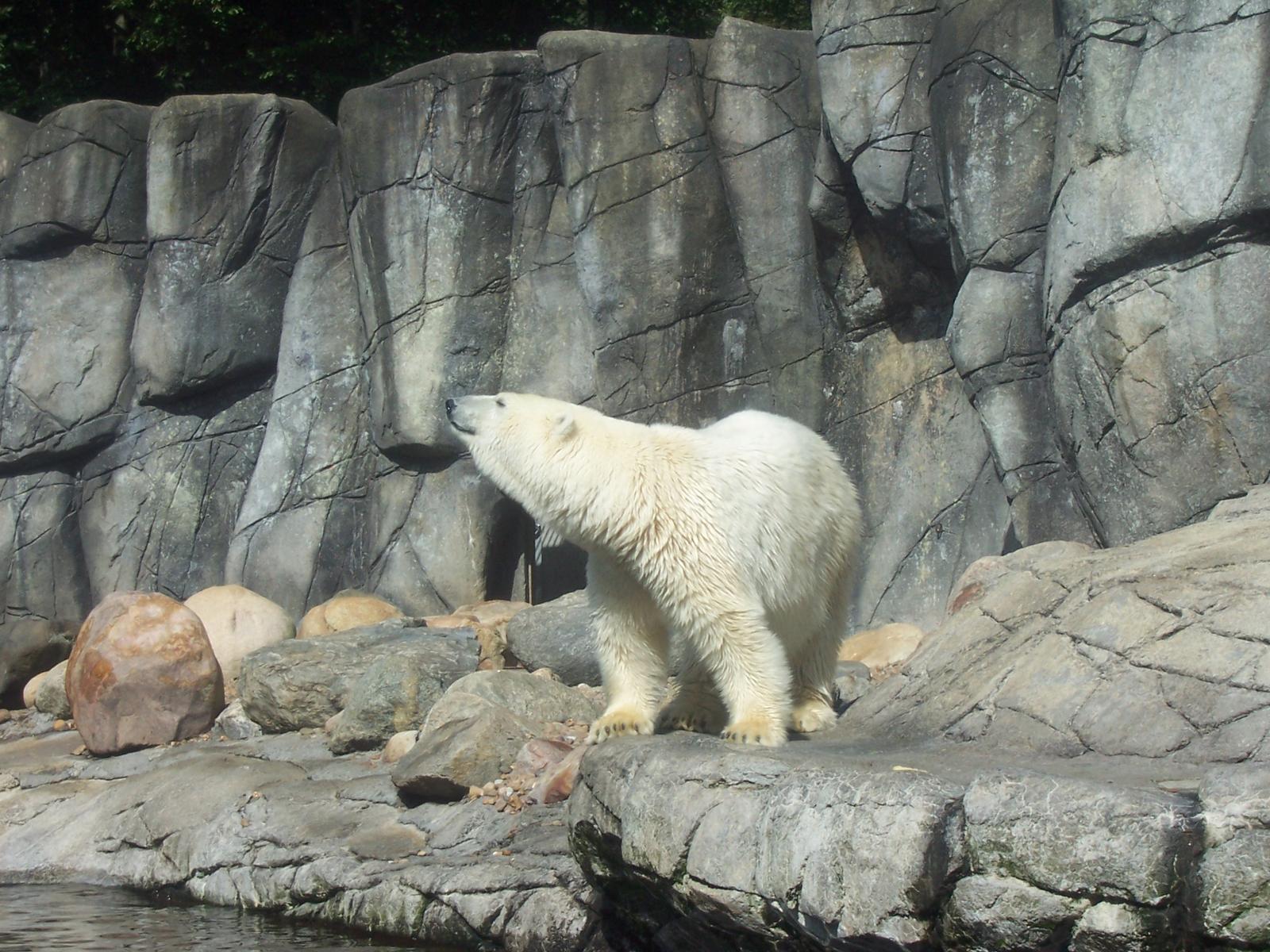 visit-to-aalborg-zoo-0025.jpg.jpg