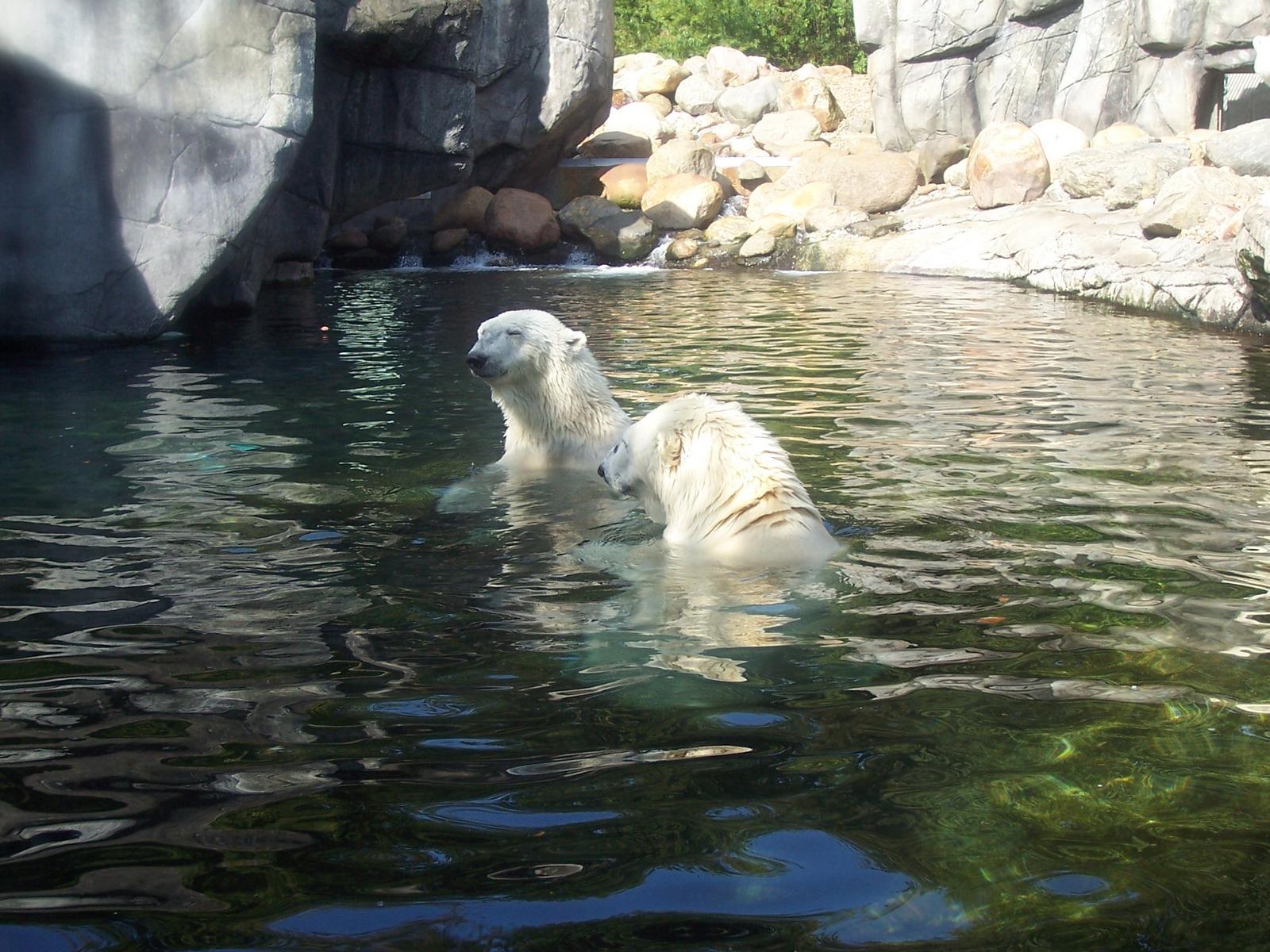 visit-to-aalborg-zoo-0027.jpg.jpg
