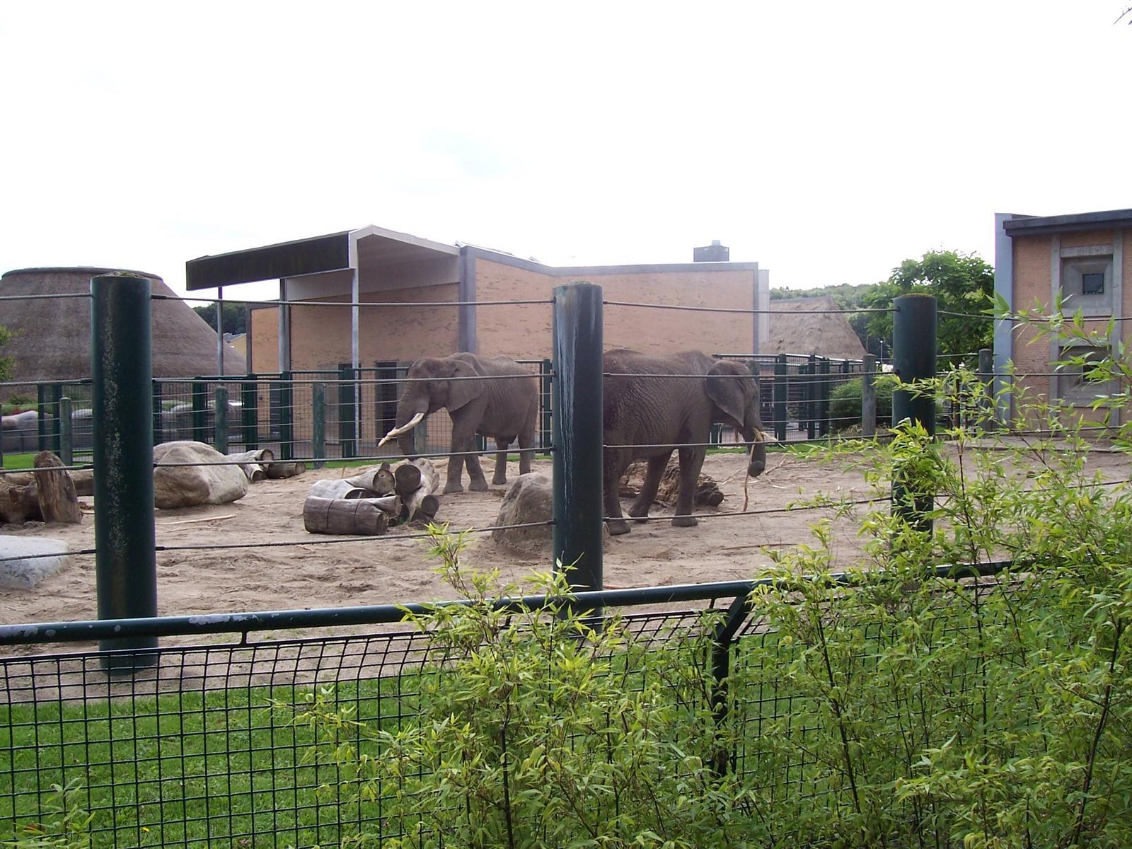 visit-to-aalborg-zoo-0064.jpg.jpg