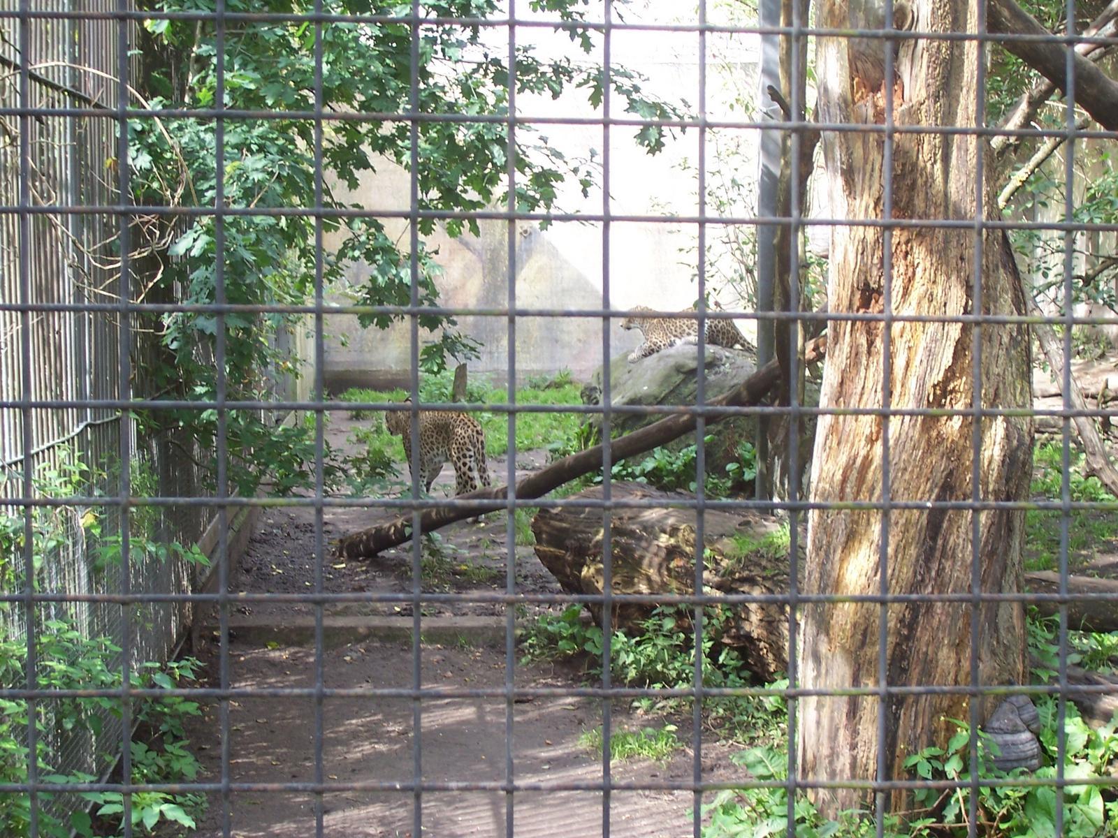visit-to-aalborg-zoo-0073.jpg.jpg