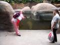 thumbs/visit-to-aalborg-zoo-featuring-people-017.jpg.jpg